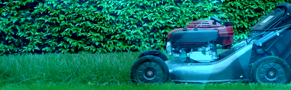 Gartenpflege und Rasenmähen in Wels